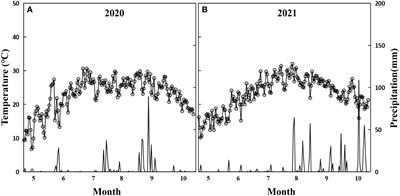 Long-term nitrogen fertilizer management for enhancing use efficiency and sustainable cotton (Gossypium hirsutum L.)